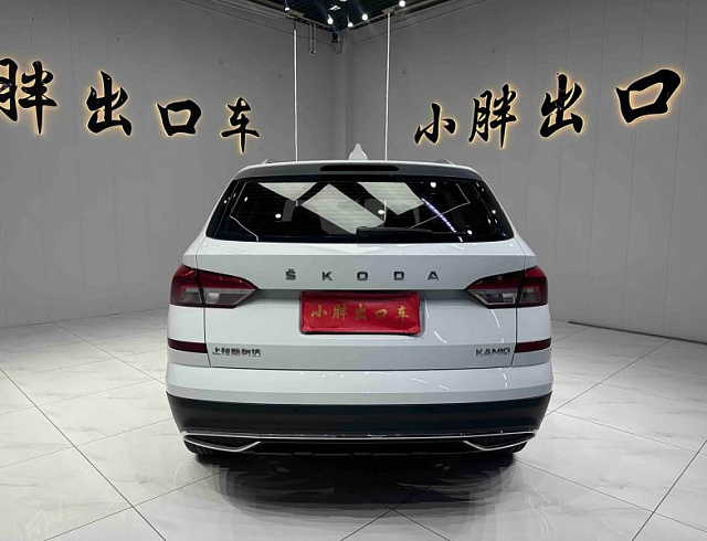 Skoda Kamiq 1.5 л 2023 г. Белый, пробег 31800 км