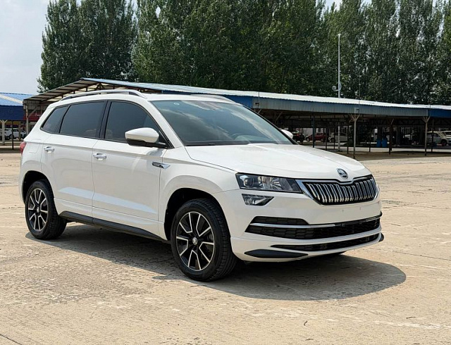 Skoda Karoq 1.4 л 2021 г. Белый, пробег 41000 км