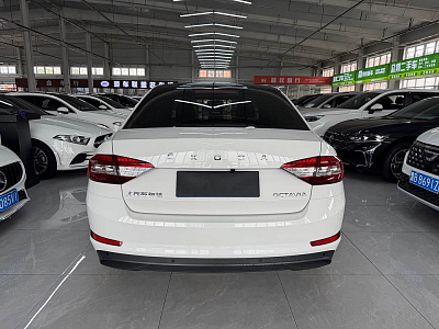 Skoda Octavia 1.5 л 2022 г. Белый, пробег 42699 км