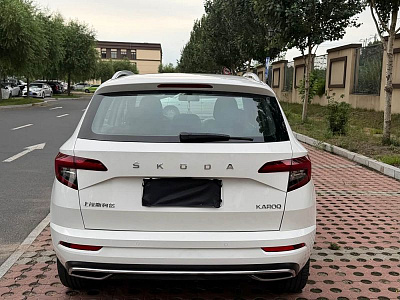 Skoda Karoq 1.4 л 2023 г. Белый, пробег 42000 км