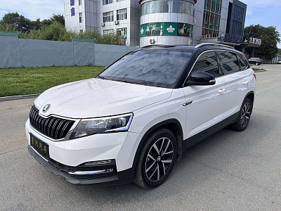 Skoda Kamiq 1.5 л 2022 г. Белый, пробег 30500 км