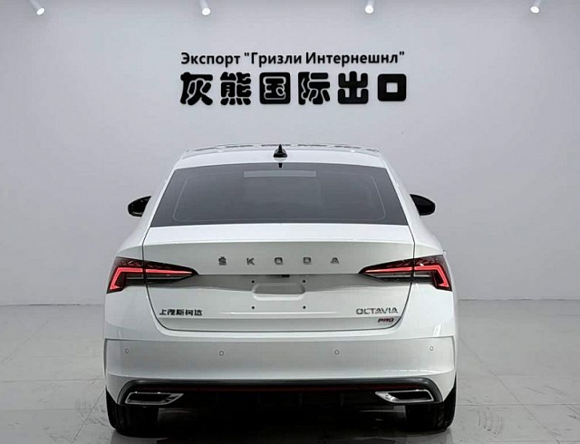 Skoda Octavia 1.4 л 2023 г. Белый, пробег 29000 км