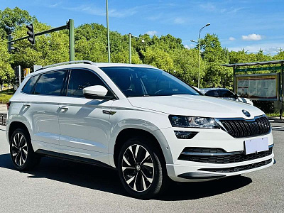 Skoda Karoq 1.4 л 2023 г. Белый, пробег 40000 км