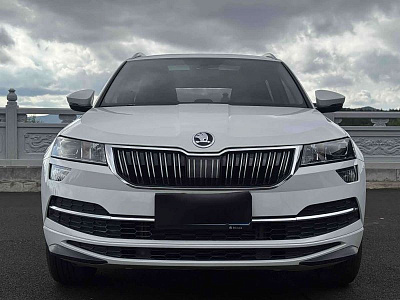 Skoda Karoq 1.4 л 2023 г. Белый, пробег 19000 км