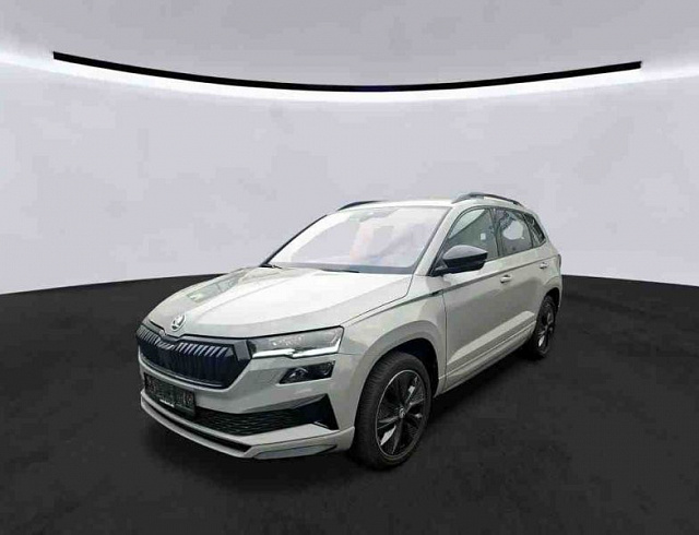 Skoda Karoq 2023 г. Серый, пробег 48646 км