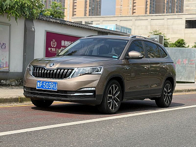 Skoda Kamiq 1.5 л 2022 г. шампань/коричневый, пробег 6000 км
