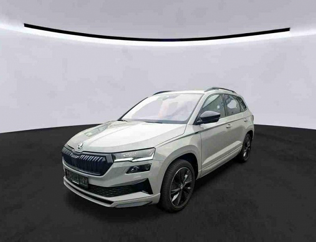 Skoda Karoq 2023 г. Серый, пробег 48646 км