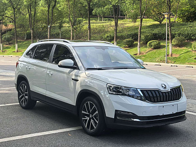 Skoda Kamiq 1.5 л 2023 г. Белый, пробег 8000 км