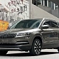 Skoda Karoq 1.4 л 2021 г. шампань/коричневый, пробег 49000 км