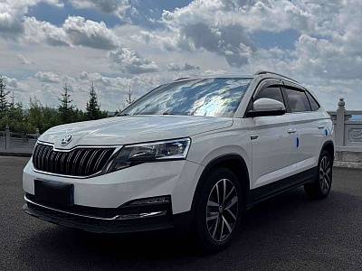 Skoda Kamiq 1.5 л 2022 г. Белый, пробег 47000 км