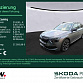 Skoda Kamiq 2022 г. Серый, пробег 47500 км