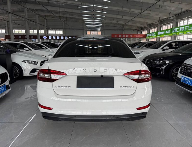 Skoda Octavia 1.5 л 2022 г. Белый, пробег 42699 км