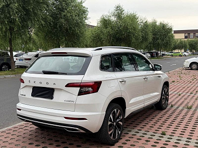Skoda Karoq 1.4 л 2023 г. Белый, пробег 42000 км