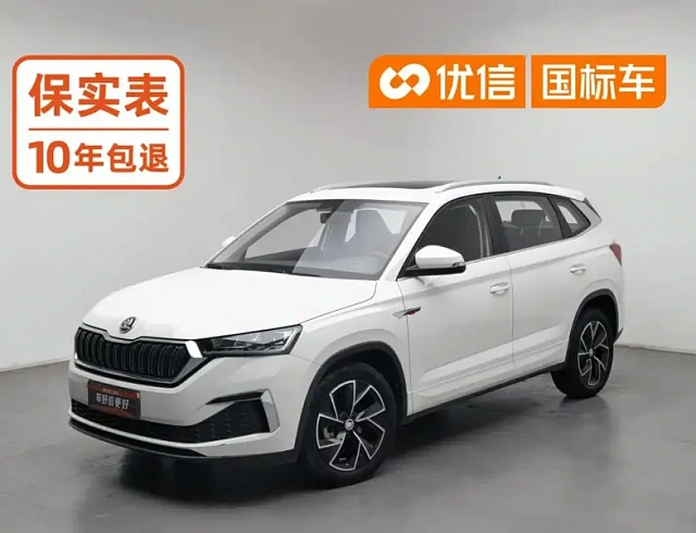 Skoda Kamiq 1.5 л 2021 г. Белый, пробег 33600 км
