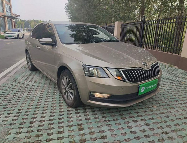 Skoda Octavia 1.5 л 2022 г. шампань/коричневый, пробег 32800 км