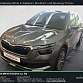 Skoda Kamiq 2023 г. Серый, пробег 34500 км