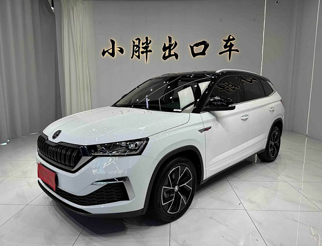 Skoda Kamiq 1.5 л 2023 г. Белый, пробег 44300 км