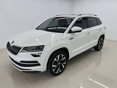 Skoda Karoq 1.4 л 2022 г. Белый, пробег 30000 км