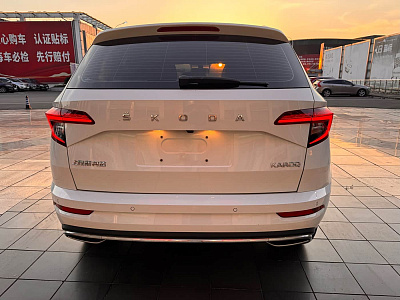 Skoda Karoq 1.4 л 2023 г. Белый, пробег 19900 км