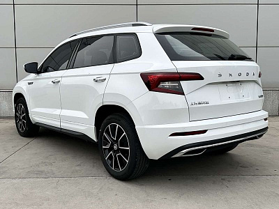 Skoda Karoq 1.4 л 2023 г. Белый, пробег 17000 км