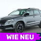 Skoda Karoq 2022 г. Серый, пробег 50209 км