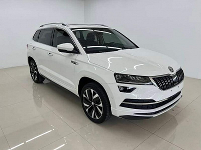 Skoda Karoq 1.4 л 2022 г. Белый, пробег 30000 км