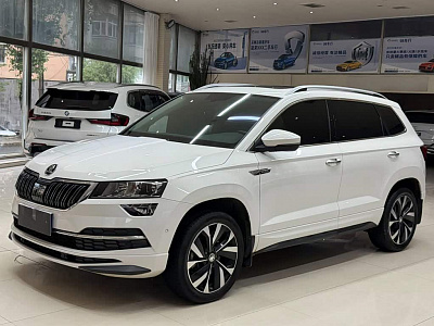 Skoda Karoq 1.4 л 2023 г. Белый, пробег 26000 км