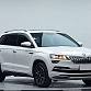 Skoda Karoq 1.4 л 2022 г. Белый, пробег 21000 км