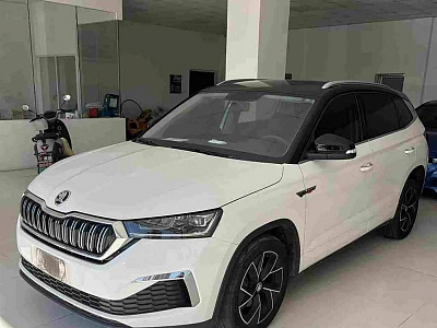 Skoda Kamiq 1.5 л 2023 г. Белый, пробег 29000 км