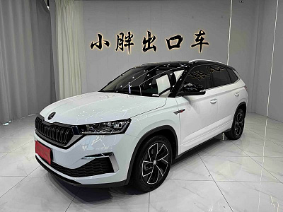 Skoda Kamiq 1.5 л 2023 г. Белый, пробег 44300 км