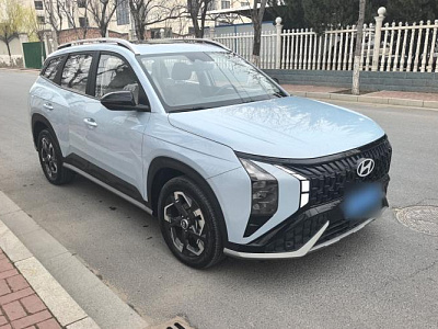 Hyundai Mufasa 2.0L