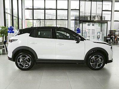 Lynk 06  Relive MAX 1.5
