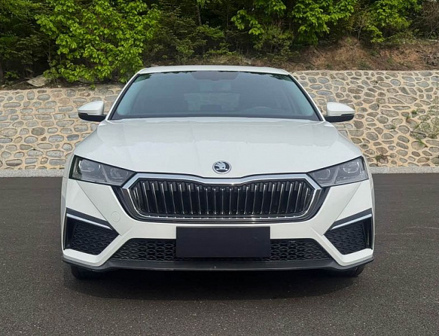 Skoda Octavia 1.4 л 2023 г. Белый, пробег 13899 км
