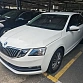 Skoda Octavia 1.5 л 2022 г. Белый, пробег 45400 км